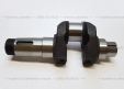 Колінвал для двигуна R195/195ANE/195ANDL (JL)