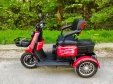 Електроскутер SPARTA CAPTAIN (800W; 60V-20Ah SLA)