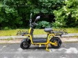 Електровелосипед SPARTA PORTER (800W; 60V-22Ah SLA)