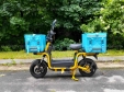 Електровелосипед SPARTA PORTER (800W; 60V-22Ah SLA)