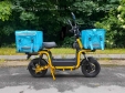 Електровелосипед SPARTA PORTER (800W; 60V-22Ah SLA)