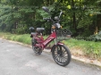 Електровелосипед SPARTA SAKURA (350W; 48V-12Ah Li-ion)