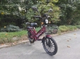 Електровелосипед SPARTA SAKURA (350W; 48V-12Ah Li-ion)