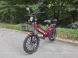 Електровелосипед SPARTA SAKURA (350W; 48V-12Ah Li-ion)