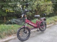 Електровелосипед SPARTA SAKURA (350W; 48V-12Ah Li-ion)