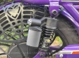 Електровелосипед SPARTA SAKURA (350W; 48V-12Ah Li-ion)