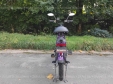 Електровелосипед SPARTA SAKURA (350W; 48V-12Ah Li-ion)