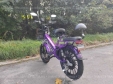 Електровелосипед SPARTA SAKURA (350W; 48V-12Ah Li-ion)