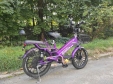 Електровелосипед SPARTA SAKURA (350W; 48V-12Ah Li-ion)
