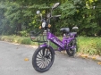 Електровелосипед SPARTA SAKURA (350W; 48V-12Ah Li-ion)