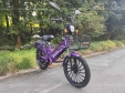 Електровелосипед SPARTA SAKURA (350W; 48V-12Ah Li-ion)