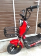 Електровелосипед SPARTA MAX (500W; 48V-20Ah SLA)