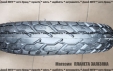 Покришка 3.0х10 Заря Aligator