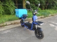 Електровелосипед SPARTA PORTER 1 кошик (800W; 60V-22Ah SLA)