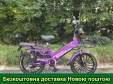 Електровелосипед SPARTA SAKURA (350W; 48V-12Ah Li-ion)