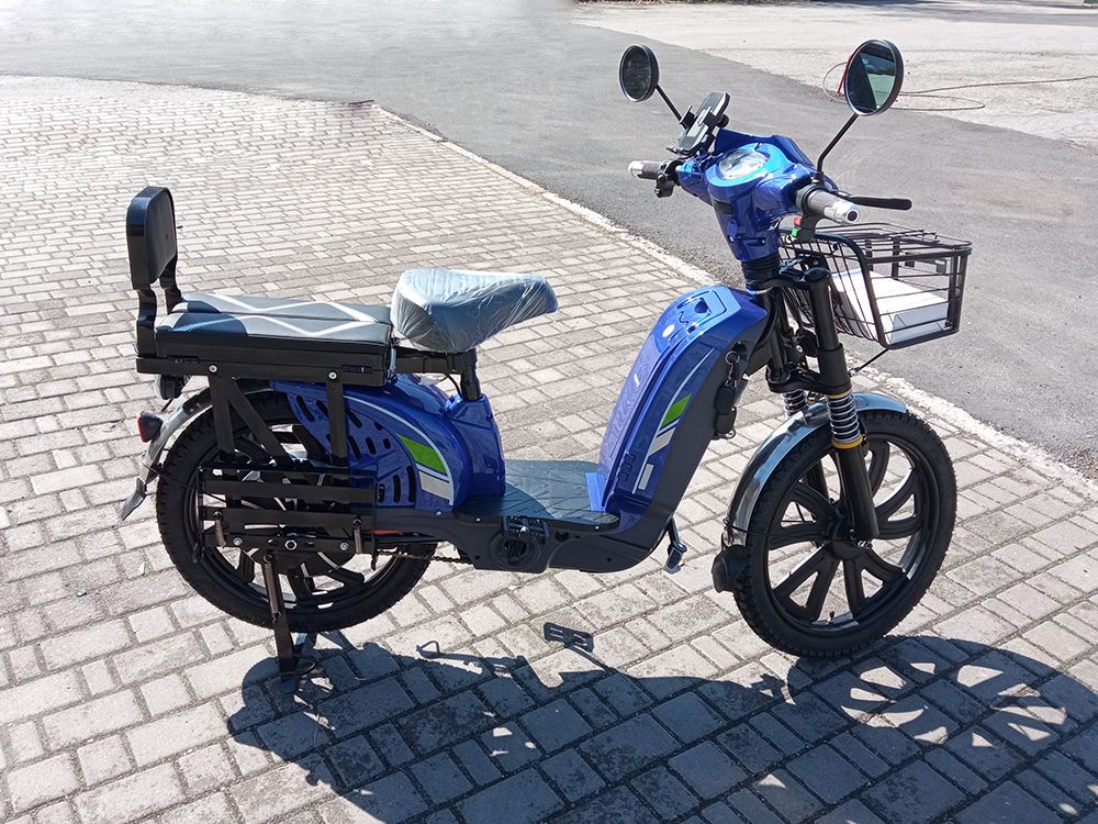 Электровелосипед Forte EM 219 (500W; 60V-12Ah AGM) синий, черный