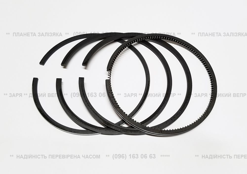 Кільця поршневі для двигуна R195 (Zubr)